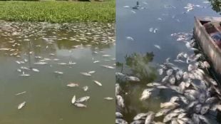 Pune Pashan Lake fish death news | PMC officials suspended by Commissioner | Sewage treatment plant negligence Pune | Pashan lake water pollution update