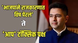 Raghav Chadha Joins BJP Reasons | AAP MP Raghav Chadha News Marathi | राघव चड्ढा यांचा भाजप प्रवेश | आम आदमी पक्ष सोडून राघव चड्ढा भाजपमध्ये
