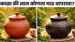 काळा की लाल कोणता माठ वापरावा? फ्रिजपेक्षा थंडगार पाण्यासाठी कोणता बेस्ट? जाणून घ्या