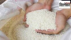 आखाती युद्धाचा तांदुळाला फटका? आशियाचे मुख्य अन्न संकटात?
