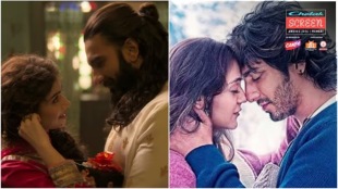 Screen Awards nominations list 2026 | Alia Bhatt hosting Screen Awards | Dhurandhar movie nominations breakdown | Top Bollywood and OTT films Screen Awards 2026