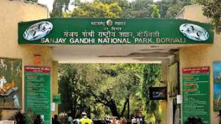 Sanjay Gandhi National Park tiger cub death | Shrivalli tiger cubs SGNP Borivali | Feline Infectious Peritonitis virus in tigers | Mumbai wildlife news updates