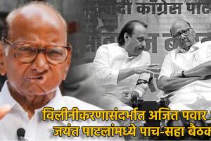Sharad Pawar reaction on NCP merger news | Ajit Pawar Sunetra Pawar NCP updates | राष्ट्रवादी काँग्रेस विलीनीकरण शरद पवार स्पष्टीकरण | दोन्ही राष्ट्रवादी काँग्रेस एकत्र येणार का?