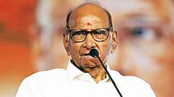 राष्ट्रवादी काँग्रेसच्या दोन्ही गटांच्या विलीनीकरणाच्या चर्चांना शरद पवारांनी दिला विराम