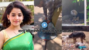 Sharayu Sonane Dog Rescue Video