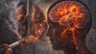 Smoking impact on brain health | Lung-brain link dementia study | Nicotine brain cell damage | Alzheimer's risk smoking research