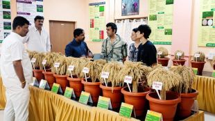 Sonu Nigam Karjat farm visit | Raigad Agricultural Research Center | Konkan Krishi Vidyapeeth rice varieties | Sonu Nigam family in Karjat Maharashtra