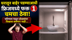 घरातून बाहेर पडण्याआधी फ्रिजमध्ये फक्त १ चमचा ठेवा! परिणाम पाहून डोळ्यांवर विश्वास बसणार नाही…
