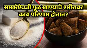 आहारात साखरेऐवजी गुळाचा वापर केल्यास शरीरावर काय परिणाम होतात? वाचा आरोग्यतज्ज्ञ काय सांगतात