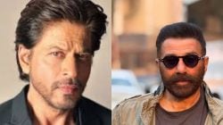 शाहरुख खानबरोबर काम करताना सनी देओलने रागात जीन्स फाडलेली; स्वत:च खुलासा करत म्हणाला…