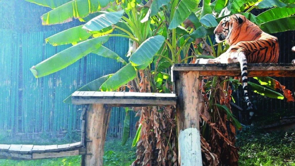 world-heritage-day-sahyadri-western-ghats-unesco-site-biodiversity-conservation-youth-perspective world-heritage-day-sahyadri-western-ghats-unesco-site-biodiversity-conservation-youth-perspective