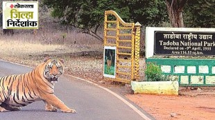 chandrapur-district-profile-tourism-industrial-growth-pollution-human-wildlife-conflict-analysis