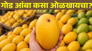 tips to buy juicy and sweet mango