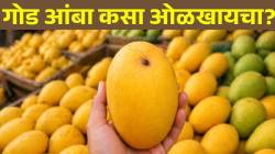 बाहेरून पिवळाधमक पण आतून आंबट? आंबा विकत घेताना ‘या’ ७ गोष्टींकडे ठेवा लक्ष; आंबा निघेल गोड-रसाळ