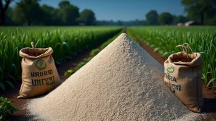 india-urea-production-crisis-gulf-war-natural-gas-shortage-fertilizer-import-dap-mop-update