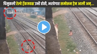 viral video of cow saves girl from accident at railway track video viral on social media