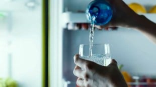 Loksatta kutuhal What is the water content in the body