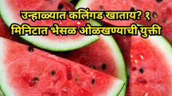कलिंगड खाण्यापूर्वी ही छोटी चूक करू नका! या युक्तीने टाळा विषारी फळ
