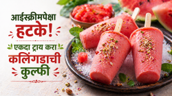 आईस्क्रीमपेक्षा हटके! एकदा ट्राय करा कलिंगडाची कुल्फी, वाचा साहित्य आणि कृती…