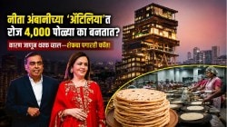 नीता अंबानींच्या ‘अँटिलिया’ घरात रोज ४,००० पोळ्या का बनतात? कारण जाणून थक्क व्हाल, शेफचा ‘हा’ पगारही चर्चेत