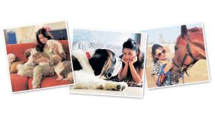Animal rescue and care in Alibaug Maharashtra
