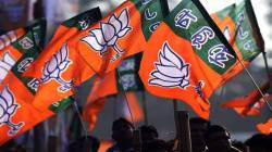 भाजपाकडून विधानपरिषदेच्या उमेदवारांची यादी जाहीर, प्राजक्त तनपुरेंसह ११ नावांची घोषणा; कोणाला मिळाली उमेदवारी? वाचा!
