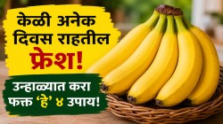 उन्हाळ्यात केळी पटकन सडतात? बाजारातून केळी घरी आणल्यानंतर करा फक्त ‘हे’ ४ सोपे उपाय; ५ ते ६ दिवस पडणार नाही एकही डाग, राहतील एकदम फ्रेश!
