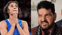 “मॅडम मोठा गोंधळ घालून गेल्यात…”, बृजभूषण सिंह यांचं विनेश फोगाटबाबत मोठं वक्तव्य; म्हणाले, कोणत्याही “खेळाडूला विनाकारण…”