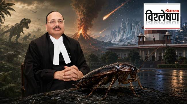 CJI Surya Kant Remark Cockroaches