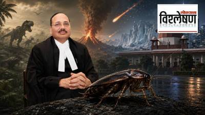 ३२ कोटी वर्षे उत्क्रांतीच्या सर्व टप्प्यांत झुरळ कसं काय टिकलं? विज्ञान काय सांगतं?