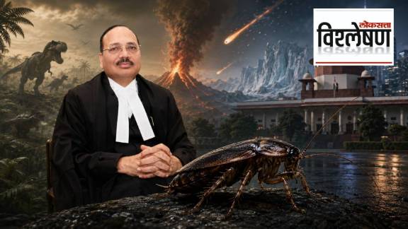 CJI Surya Kant Remark Cockroaches