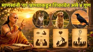 Chanakya Niti 4 habits of dog can bring you great success