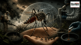 Aedes aegypti mosquito under a protective biological dome, illustrating the Wolbachia bacteria technique to fight dengue and malaria, alongside laboratory research and mosquito fumigation: डेंग्यू आणि मलेरियाविरुद्धच्या लढ्यातील 'वोल्बाकिया' जिवाणू तंत्रज्ञानाचे सादरीकरण करणारा जैविक संरक्षण कवचाच्या (डोम) आतील 'एडीस अएजिप्ती' डास; सोबतच प्रयोगशाळेतील संशोधन आणि कीटकनाशकांची धूरफवारणी