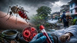 Dengue outbreak in Uran Chanje | Health department mosquito fogging Maharashtra | Chanje Gram Panchayat sanitation issues | Raigad district health news updates