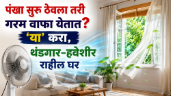 पंखा सुरू ठेवला तरी गरम वाफा येतात? ‘या’ ५ गोष्टी करा, थंडगार-हवेशीर राहील घर, घाम कमी येईल
