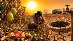 सिंधुदुर्ग जिल्ह्यात तापमानाचा पारा चढला; आंबा, काजू बागायतदार संकटात, भूगर्भातील पाण्याची पातळी खालावली