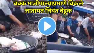China Market Live frogs Sold Like Vegetables