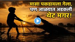 VIDEO: मासे पकडण्याचं स्वप्न… पण जाळ्यात अडकली थेट मगर! ७ वर्षांच्या मुलाबरोबर नदीत घडलं असं काही की पाहणाऱ्यांच्याही अंगावर आला काटा