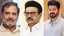 ‘निष्ठेची मोठी किंमत मोजली’, काँग्रेसने ‘टीव्हीके’ला पाठिंबा दिल्यानंतर ‘डीएमके’चे नेते भडकले