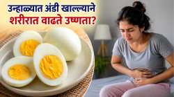 Summer Diet : उन्हाळ्यात अंडी खाल्ल्याने शरीरात वाढते उष्णता? होऊ शकते फूड पॉयझनिंग? वाचा, आहारतज्ज्ञांनी काय सांगितले