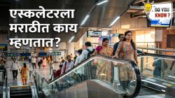 एस्कलेटरला मराठीत काय म्हणतात? मॉल, रेल्वे, मेट्रोमध्ये दिसणाऱ्या या यंत्राचं खरं नाव जाणून घ्या!