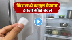Fridge Trick: फ्रिजमध्ये कापूस ठेवला आणि घडलं मोठा बदल; परिणाम पाहून तुम्हालाही डोळ्यांवर विश्वास बसणार नाही! पाहा VIDEO
