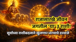 राजासारखे जीवन जगतील ‘या’ ३ राशी! सूर्य वृषभ राशी येता उघडणार यशाचे दरवाजे
