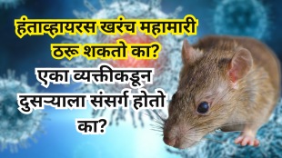 Hantavirus Alert