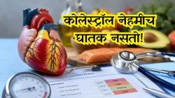 कोलेस्ट्रॉल नेहमीच घातक नसतो! संसर्गाशी देखील लढतो, डॉक्टरांनी केला खुलासा