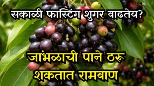 Do Jamun Leaves Improve Insulin Quality A Natural Remedy Prescribed in Ayurveda Sparks Discussion