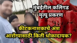 मुंबईतील कलिंगड मृत्यू प्रकरण: कीटकनाशकाचे अंश आरोग्यासाठी किती धोकादायक?