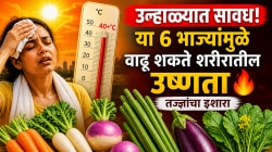 उन्हाळ्यात सावध राहा! या ६ भाज्यांमुळे वाढू शकते शरीरातील उष्णता; तज्ज्ञांनी सांगितले कारण