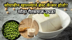 सोयाबीनमुळे स्तनांचा कर्करोग होऊ शकतो का? तज्ज्ञांचे काय आहे मत, जाणून घ्या