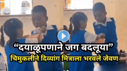 ५ वर्षांच्या चिमुकलीने शिकवला माणुसकीचा धडा; हात नसलेल्या मित्राला भरवले जेवण, व्हिडीओ पाहून डोळे पाणावतील